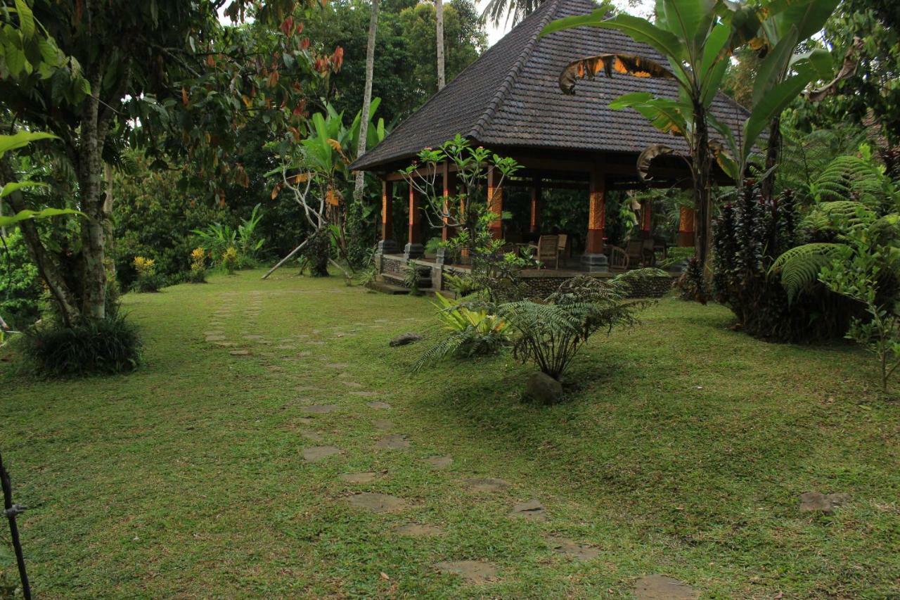 Saridevi Ecolodge Джатилувих Экстерьер фото