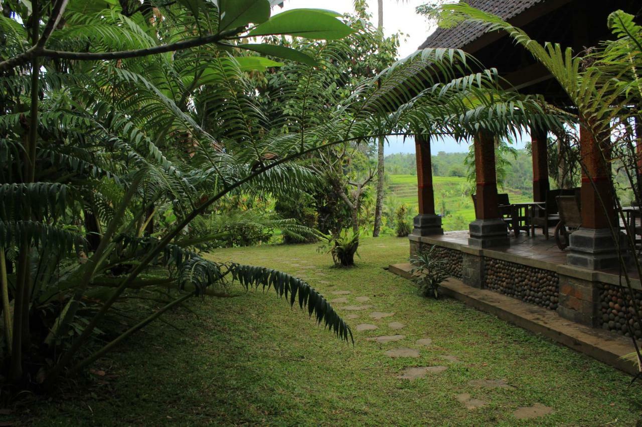 Saridevi Ecolodge Джатилувих Экстерьер фото